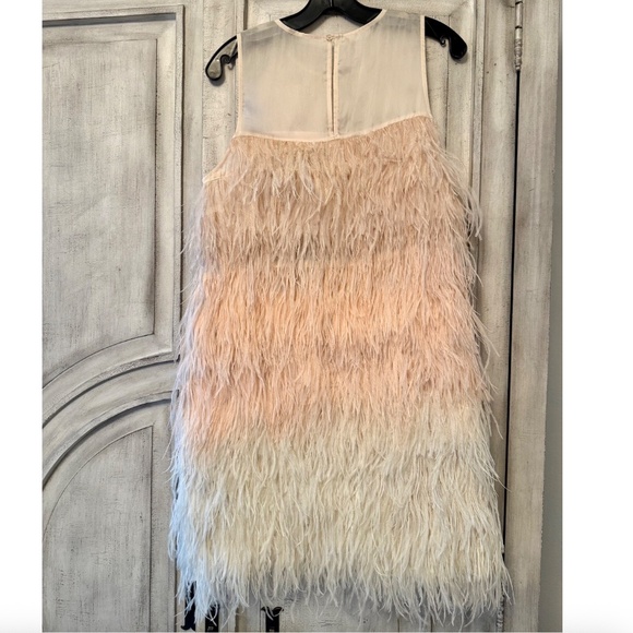 Cynthia Rowley Kitty Pink Ombre Feather Dress - NWT - Size L - Picture 2 of 6